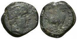 11 - HISPANIA ANTIGUA. AREKORATAS. Semis. A/ Cabeza masculina a der., delante, dos glóbulos, detrás signos ibéricos (SO)S. R/ Gallo a der., encima dos glóbulos, debajo ley. en curva (A)REIKoRATaS. AE 12,73 g. 26,2 mm. CNH-2. ACIP-1740. CC-2011, mismo ejemplar. Pátina verde con pequeñas erosiones. BC. Rara.