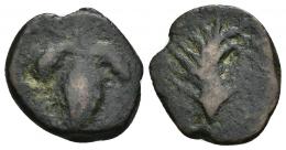 21   -  HISPANIA ANTIGUA. BAICIPO. As. A/ Racimo. R/ Palma, debajo (BAICIPO). AE 3,75 g. 19 mm. I-183. ACIP-2507. BC. 