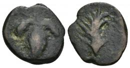 21 - HISPANIA ANTIGUA. BAICIPO. As. A/ Racimo. R/ Palma, debajo (BAICIPO). AE 3,75 g. 19 mm. I-183. ACIP-2507. BC.
