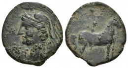 43 - HISPANIA ANTIGUA. EMISIONES HISPANO-CARTAGINESAS. Unidad. A/ Cabeza femenina con casco de largo penacho a izq. R/ Caballo a der. AE 8,97 g. 26,1 mm. ACIP-592. CC-220, mismo ejemplar. Concreciones. Pátina verde. MBC.