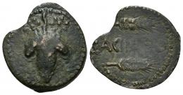 8 - HISPANIA ANTIGUA. ACINIPO. As. A/ Racimo, a los lados dos estrellas. R/ Dos espigas a der., en medio ACINIPO. AE 6,74 g. 25,1 mm. I-49. ACIP-2454. Cospel irregular y vano. MBC-. Rara.