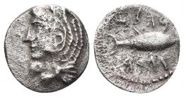 84 - HISPANIA ANTIGUA. GADIR. Hemidracma. A/ Cabeza de Melkart con leonté a izq. R/ Atún a der.; encima y debajo ley. fenicia mp'l/'gdr. AR 1,49 g. 12,7 mm. I-1308. ACIP-634. Porosidades. MBC.