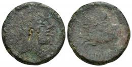 88 - HISPANIA ANTIGUA. IKALESKEN. A/ Cabeza masculina a der., delante estrella, detrás delfín. Contramarca grafitos en anv. R/ Jinete con lanza y rodela a der.; debajo IKaLKuNSKeN. AE 17,18 g. 27,5 mm. CNH-21. ACIP-2089. CC-2458. Pátina oscura. RC. Rara.