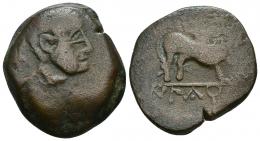 97 - HISPANIA ANTIGUA. FLORENTIA-ILTURIR. As. A/ Cabeza masculina a der., detrás X. R/ Esfinge a der., en exergo ILTuRIR. AE 24 g. 32,5 mm. CNH-12. ACIP-2297. CC-3027, mismo ejemplar. MBC-/BC+. Rara.