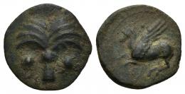 100 - GRECIA ANTIGUA. SICILIA. Emisiones sículo-púnicas. A/ Palmera. R/ Pegaso a izq. AE 1,96 g. 15,9 mm. COP-107. MBC-. Rara.
