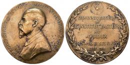 MONEDAS EXTRANJERAS. FRANCIA. Medalla. Dr. Roux. 25 años del Instituto Pasteur. 1888-1913. AE 65,3 mm. Pequeñas marcas. MBC.