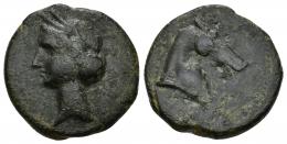 14 - HISPANIA ANTIGUA. EMISIONES HISPANO-CARTAGINESAS. Unidad. A/ Cabeza femenina con tocado vegetal a izq. R/ Cabeza de caballo a der. AE 8,86 g. 23 mm. I-514. ACIP-578. Rayitas en anv. Pátina oscura. MBC. Escasa.