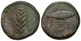 68 - HISPANIA ANTIGUA. ILIPA. As. A/ Espiga. R/ Sábalo a der., encima creciente, debajo A, en medio leyenda entre líneas ILIPENSE. AE 30,84 g. 30,3 mm. I-1532. ACIP-2333. CC-3236, mismo ejemplar. Rayitas. Pátina verde con tonos rojos. MBC.