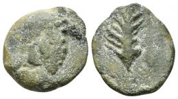 3003 - HISPANIA ANTIGUA. BAICIPO. Semis. A/ Racimo de uvas, a izq. S. R/ Palma a der., debajo BAICIP. AE 5,42 g. 20,6 mm. I-183. ACIP-2507. CC-3487, mismo ejemplar. BC+. Escasa.