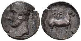3010 - HISPANIA ANTIGUA. EMISIONES HISPANO-CARTAGINESAS. Shekel. A/ Cabeza masculina a izq. R/ Caballo parado a der. delante de palmera. AR 5,60 g. 22 mm. I-535. ACIP-603. CC-5618, mismo ejemplar. Pátina plomiza. Cospel abierto. BC/MBC. Escasa.