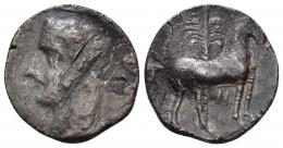3014 - HISPANIA ANTIGUA. EMISIONES HISPANO-CARTAGINESAS. Shekel. A/ Cabeza masculina a izq. R/ Caballo parado a der. delante de palmera, entre las patas zayim. AR 5,69 g. 21,4 mm. I-549. ACIP-626. CC-278, mismo ejemplar. Rayas y erosión en anv. RC/MBC.