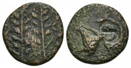 76 - HISPANIA ANTIGUA. BEUIBON-SALACIA. Mitad. A/ Dos espigas, a los lados crecientes con glóbulos. R/ Hipocampo a izq., debajo contramarca S. AE 4,20 g. 18,6 mm. I-no. ACIP-987. CC-3059, mismo ejemplar. MBC-/BC+. Rara.