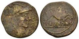 3023 - HISPANIA ANTIGUA. EMPORIAE. As. A/ Cabeza de Minerva a der.; delante P.L.L.L. R/ Pegaso volando a der., encima láurea (no visible), debajo sobre línea EMPORIT. AE 10,52g. 27 mm. I-1267 vte. APRH-238b. ACIP-1067 vte. CC-4512, mismo ejemplar. Vanos de acuñación. MBC/MBC-.