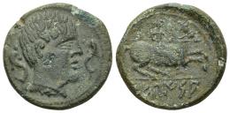 3041 - HISPANIA ANTIGUA. SEKAISA. As. A/ Cabeza masculina con collar a der. entre dos delfines. R/ Jinete a der., en exergo SEKaISA. AE 8,73 g. 24,1 mm. I-2131. ACIP-1562. Pátina verde con erosiones. MBC-.