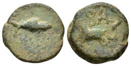 HISPANIA ANTIGUA. BALSA. Divisor. A/ Atún. R/ Caballo galopando a izq., encima BALS. AE 4,64 g. 18,7 mm. I-197. ACIP-2510. Pátina verde. BC+. Rara. Compra privada Pliego (1995).
