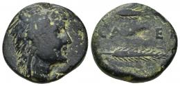 HISPANIA ANTIGUA. CALLET. As. A/ Cabeza con leonté a der. R/ Dos espigas a der., en medio CA(LL)ET. AE 16,64 g. 24,7 mm. I-433. ACIP-2411. Pátina oscura. BC+.