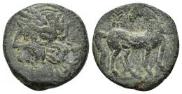 COLECCIÓN CORES. CARTAGO (221-210 a.C.). A/ Cabeza de Tanit a izq. R/ Caballo parado a der. con cabeza vuelta; palmeta sobre la grupa. AE 6,03 g. 31 mm. COP-317; CC-5445, mismo ejemplar. Superficies erosionadas. MBC-.