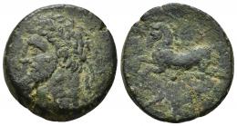 COLECCIÓN CORES. REYES NÚMIDAS Y MAURETANOS. MASINISSA O MICIPSA. Unidad. Cirta (238-148 o 148-118 a.C.). A/ Cabeza del rey laureada a izq. R/ Caballo galopando a izq., debajo glóbulo. AE 16,13 g. 27 mm. COP-505; MAA-18a; CC-5685, mismo ejemplar. Pátina oscura. BC+. Escasa.