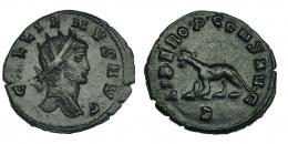 132  -  GALIENO. Antoniniano. Roma (267-268). R/ Pantera a izq.; LIBERO P CONS AVG, exergo B. RIC-230. MBC+/MBC.