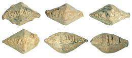 572  -  ROMA. República Romana. I a.C. Plomo. Lote de 6 glandes bicónicos. Cuatro con CN MAG (Cneo Pompeyo Magno). Altura 3,6-4,5 cm.