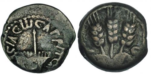 137 - JUDEA. HERODES AGRIPA. Prutah. AE-17 (42-43 d.C.). A/ Sombrilla con flecos. R/ Tres espigas. SGI-5567. MBC-/MBC.