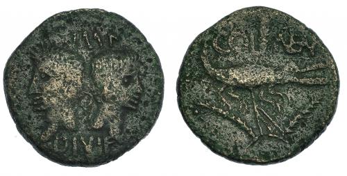 167 - AUGUSTO. Nemausus. As? (16-10 a.C.). A/ Cabezas acoladas de Augusto y Agripa; IMP/DIVI F. R/ Cocodrilo a der. encadenado a palmera; COL-NEM. RPC-523. RIC-155-7.Porosidades. BC+.