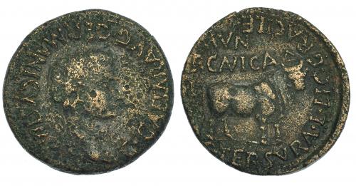 37 - ERCAVICA. Calígula. As (37-41 d.C.). A/ Cabeza laureada a der. R/ Toro mitrado a der.; MVN sin nexo. I-1286. RPC-465. Erosiones. BC+/MBC.