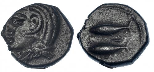 39 - GADIR. Mitad. Último tercio s. III a.C. A/ Cabeza de Melkart con leonté a izq. R/ Dos atunes a izq., en medio letra fenicia resh. I-No. CNH-13 (mismo ejemplar ilustrado). ACIP-643 (mismo ejemplar ilustrado). MBC. Pátina oscura. Rara.