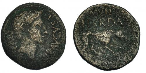 43 - ILERDA. Augusto. As (27 a.C.-14 d.C.). A/ Cabeza a der. R/ Loba a der.; encima MVN/ILERDA. I-1487. RPC-260b. BC+.