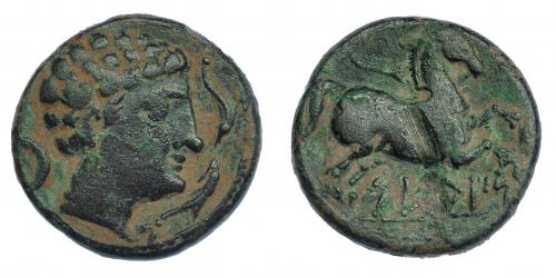 247 - SETEISKEN. Mitad. A/ Cabeza masculina a der., delante dos delfines, detrás creciente. R/ Caballo galopando a der. con rienda suelta, debajo sobre línea SETeISKeN. AE 6,62 g. CNH-6. I-2216. ACIP-1460. Fuerte raya en re. Pátina verde. MBC. Rara.