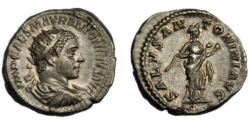 231   -  HELIOGÁBALO. Antoniniano. Roma (218-222). R/ Salus a der. alimentando serpiente en sus brazos; SALVS ANTONINI AVG. VE 5,93 g. 22,4 mm. RIC-138f. MBC+.