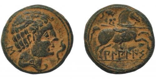 39 - BILBILIS. Unidad. A/ Cabeza masculina a der. con torques, delante delfín, detrás S. R/ Jinete lancero, debajo sobre línea BiLBiLIS. AE 13,72 g. 26,7 mm. CNH-1. I-254. ACIP-1568. Pátina verde terrosa. MBC/MBC-. Rara.
