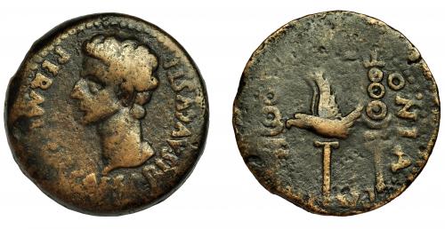 16 - COLONIA PATRICIA. Dupondio. Augusto. A/ Cabeza a izq.; PERMI(SSV) CAESARIS AVGVSTI. R/ Aquila entre dos signa; (COL)ONIA (PATRICIA). AE 33,4 g. 32,7 mm. I-1988. RPC-128. APRH-128. ACIP-3356. Vanos. BC+.