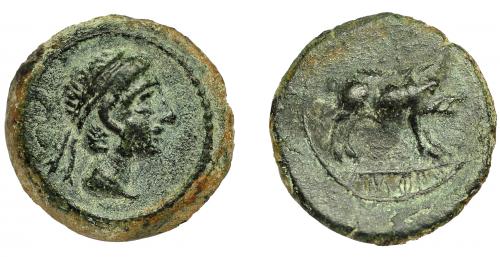 5 - CASTULO. Cuadrante. A/ Cabeza masculina diademada a der. R/ Jabalí a der., encima estrella, debajo KaSTiLO. AE 2,72 g. 15 mm. I-733 vte. ACIP-2152. Pátina verde. MBC.