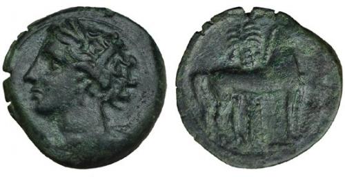2133 - GRECIA ANTIGUA. ACUÑACIONES SÍCULO-PÚNICAS. 1/2 calco. R/ Caballo parado a der. delante de palmera. AE 2,7 g. 15,6 mm. SBG-6444 vte. Pátina verde. MBC-.