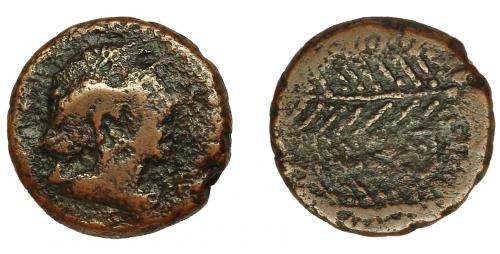 2021 - HISPANIA ANTIGUA. CERIT. Semis. A/ Cabeza radiada a der. R/ Dos espigas a der., en medio CER+. AE 5,1 g. 18,5 mm. CNH-1. I-824. ACIP-2413. BC-. Escasa.