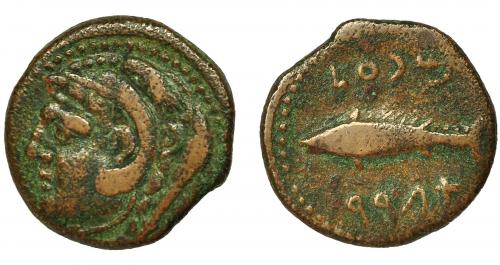 2029 - HISPANIA ANTIGUA. GADIR. Mitad. R/ Atún a izq., encima mp'l, debajo 'gdr. AE 3,6 g. 19,9 mm. CNH-40. I-1345. ACIP-670. MBC-.