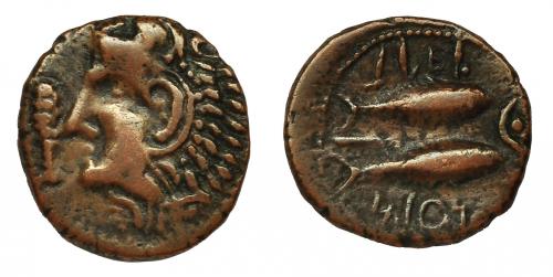 2031 - HISPANIA ANTIGUA. GADIR. Mitad. R/ Dos atunes a izq., a izq. creciente con punto central. AE 4,2 g. 19,4 mm. CNH-58. I-1349. ACIP-688. MBC.