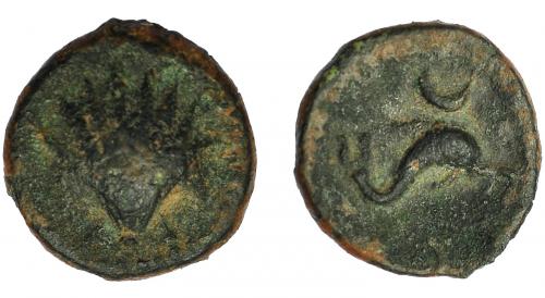 2080 - HISPANIA ANTIGUA. ARSE-SAGUNTUM. Sexto. A/ Venera. R/ Delfín a der., encima creciente. AE 1,2 g. 10.8 mm. I-2065. ACIP-1978. BC+/MBC-. Muy rara.