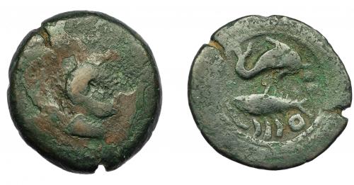 15 - HISPANIA ANTIGUA. ABDERA. Unidad. A/ Cabeza masculina a der., detrás clava. R/ Delfín a der. y atún a izq., debajo ley. púnica `bdrt, delante dos glóbulos. AE 13,50 g. 29,5 mm. I-11. ACIP-868. RC/BC+. Muy rara.