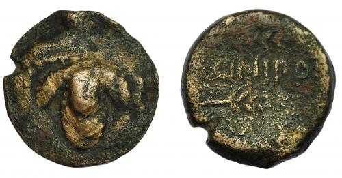 28 - HISPANIA ANTIGUA. ACINIPO. As. A/ Racimo de uvas. R/ Dos espigas a der., en medio ACINIPO. AE 8,56 g. 21,7 mm. I-46. ACIP-2444. BC+. Rara.