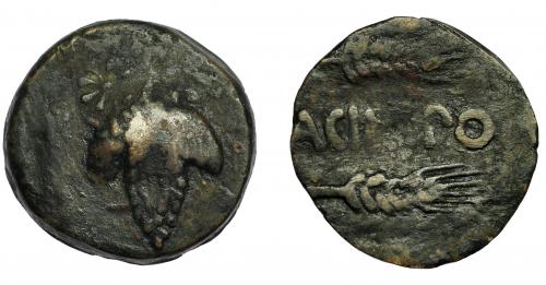 29 - HISPANIA ANTIGUA. ACINIPO. As. A/ Racimo de uvas con estrella en la parte superior. R/ Dos espigas a der., en medio ACINIPO. AE 7,74 g. 21,6 mm. I-48. ACIP-2449. BC+. Rara.