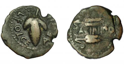 31 - HISPANIA ANTIGUA. ACINIPO. As. A/ Racimo de uvas con estrella en la parte superior; L FOLCE AEDILE. R/ Dos espigas a der., en medio ACINIPO. AE 6,99 g. 21,4 mm. I-49. ACIP-2455. MBC-/BC+. Rara.