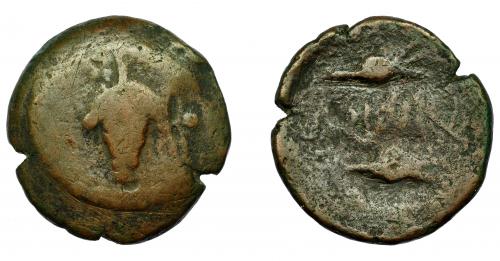 32 - HISPANIA ANTIGUA. ACINIPO. As. Reacuñación sobre un as de Obulco. A/ Racimo entre dos estrellas. AE 12,10 g. 26,2 mm. BC-.