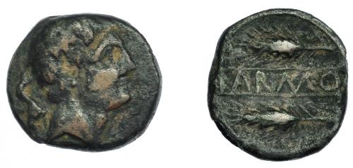 228 - HISPANIA ANTIGUA. CARMO. As. A/ Cabeza masculina a der. R/ Dos espigas a izq., en medio entre líneas KARMO. AE 10,26 g. 22,9 mm. I-463. ACIP-2402. Rayitas. Pátina oscura. MBC-. Rarísima.