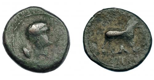 275   -  HISPANIA ANTIGUA. VESCI. As. A/ Cabeza masculina  a der., detrás espiga. R/ Toro a der., detrás árbol, debajo whsk. AE 10,10 g. 26,2 mm. I-2518. ACIP-962. BC+/BC. Rara.