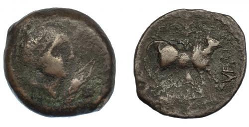 276 - HISPANIA ANTIGUA. VESCI. As. A/ Cabeza masculina diademada a der., delante espiga. R/ Toro a der., detrás árbol, debajo whsin, delante VESCI. AE 10,21 g. 25,3 mm. I-2520. ACIP-964. BC+. Rarísima.