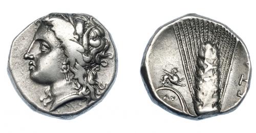 327 - GRECIA ANTIGUA. LUCANIA. Metaponto. Estátera (330-290 a.C.). A/ Cabeza de Deméter a izq. R/ Espiga; a izq. grifo, debajo ΛY, a der. (M)ET(A). AR 7,72 g. 19,9 mm. COP-1224. SBG-416. MBC. Ex col. Guadán 1419.