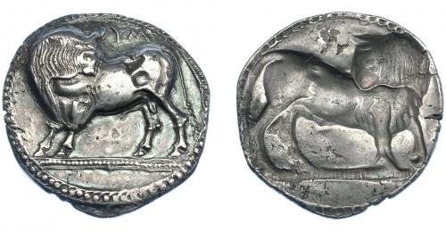 331 - GRECIA ANTIGUA. LUCANIA. Síbaris. Estátera (550-510 a.C.). A/ Toro a izq. con cabeza vuelta; encima VM. R/ Toro incuso a der. con cabeza vuelta a izq. AR 8,12 g. 27,8 mm. COP-1390. SBG-245. Pequeñas marcas. MBC+. Muy rara en esta conservación. Ex col. Guadán 1443.