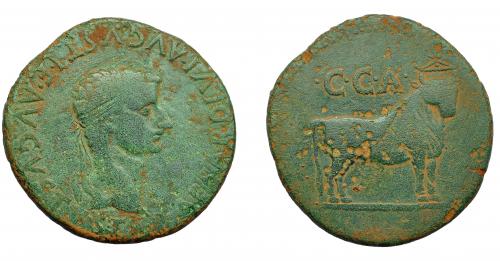 1117 - HISPANIA ANTIGUA. CAESARAUGUSTA. Tiberio. As. A/ Cabeza laureada a der.; (TI) CAESAR DIVI AVGVSTI F AVGVSTVS. R/ Toro mitrado a der., encima CCA. AE 10,91 g. 14,5 mm. I-367. APRH-340. ACIP-3066. Rayitas. Pátina verde claro. BC+.